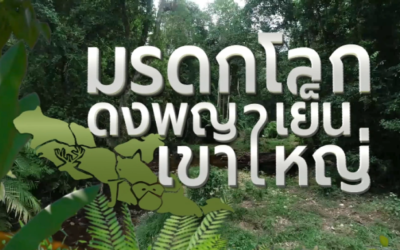 โครงการผลิตสื่อเผยแพร่เพื่อการเรียนรู้ เข้าใจ เข้าถึงธรรมชาติในผืนป่ามรดกโลกดงพญาเย็น-เขาใหญ่ผู้รับทุนประเภทเปิดรับทั่วไป ประจำปี 2562
